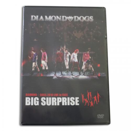 『2010 LIVE in FACE =BIG SURPRISE=』('10)[DVD]