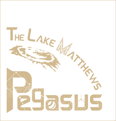 THE LAKE MATTHEWS　7inch シングル盤「Pegasus」